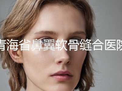 青海省鼻翼软骨缝合医院排名前十强公示了-西宁唯娜医疗美容诊所位列前三